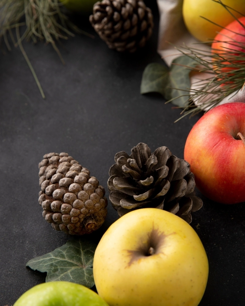 Vela Navidad en el Chalet - Fragancia de Abeto y Madera | Wool & Clover