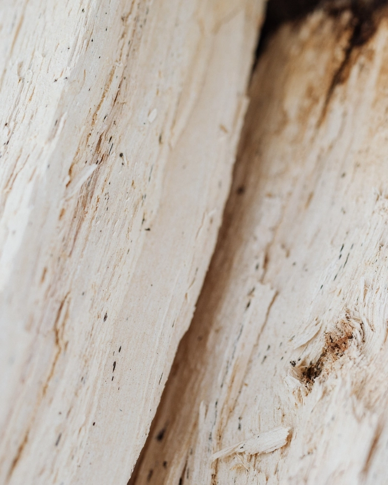 Vela Solsticio - Sándalo y Canela | Wool & Clover